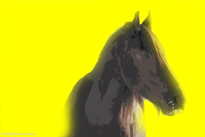 image by alpengluehen art group