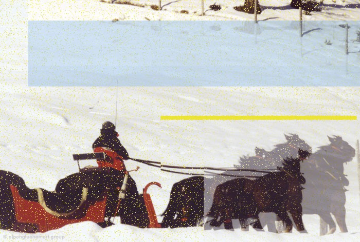 image by alpengluehen art group